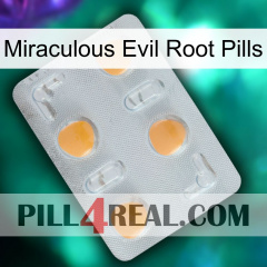 Miraculous Evil Root Pills 24